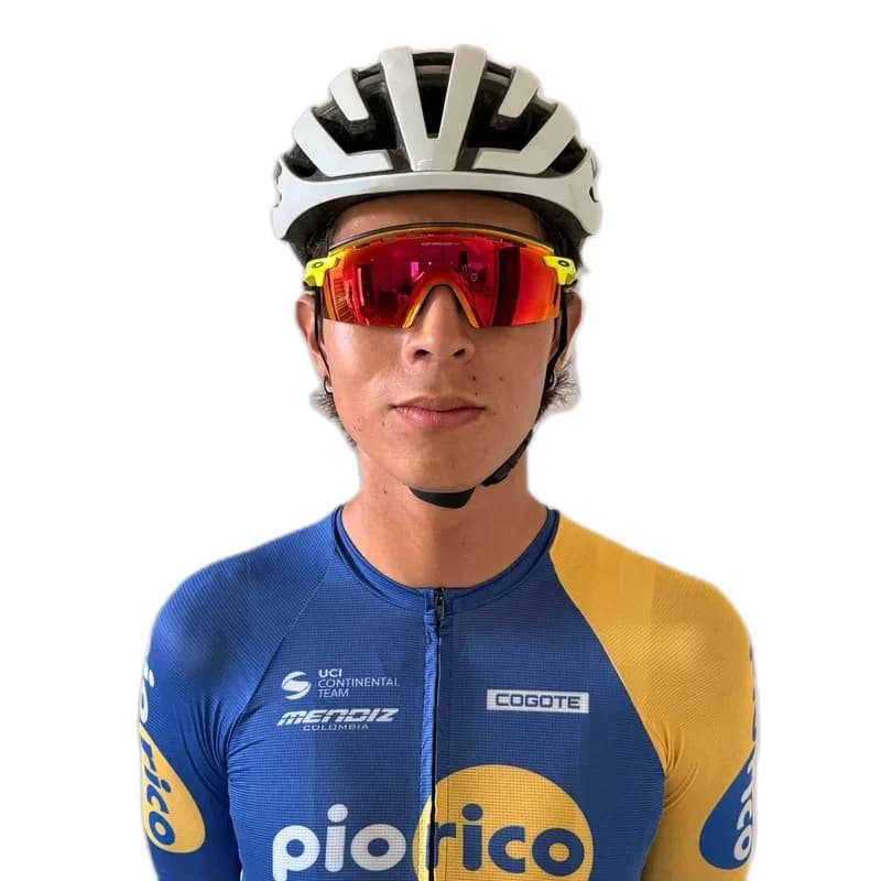 Jose Aramayo Villena